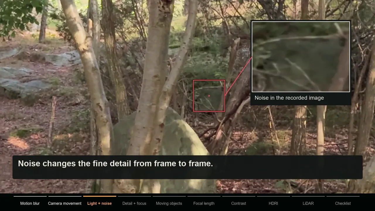 Forest frame with a zoomed inset showing sensor noise changing fine detail from frame to frame