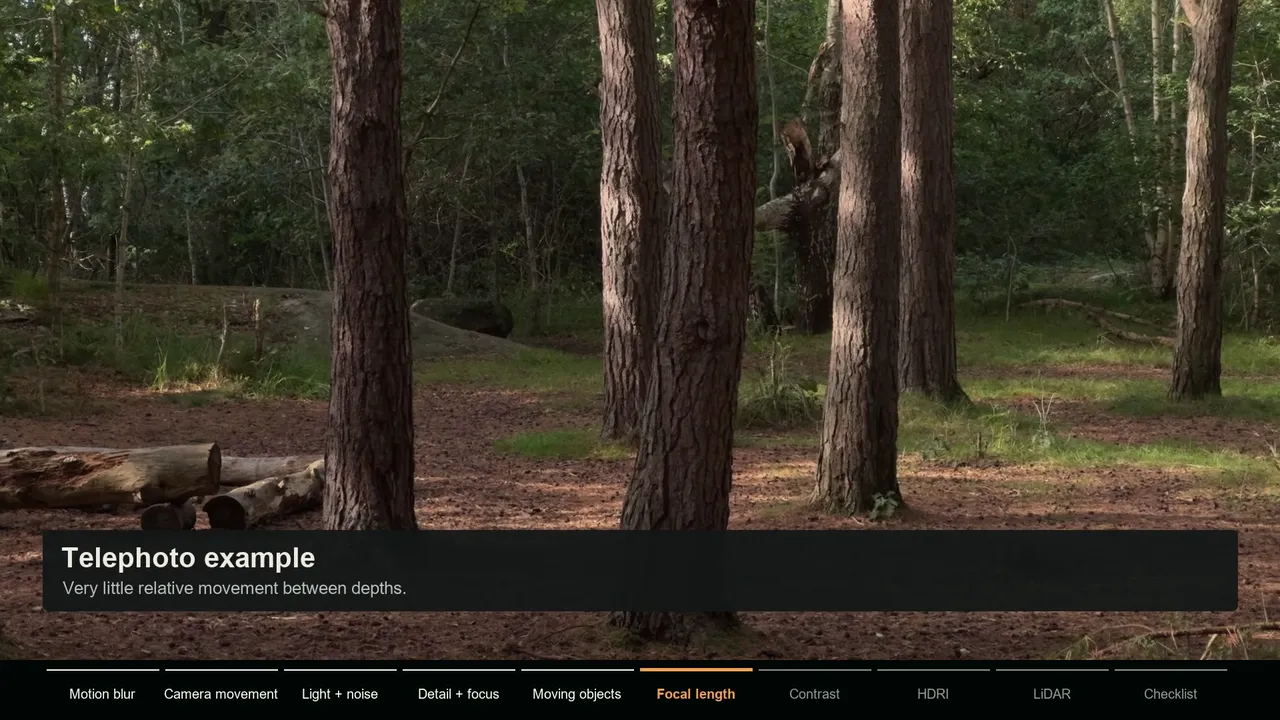 Telephoto example frame where trees at different distances show very little relative movement